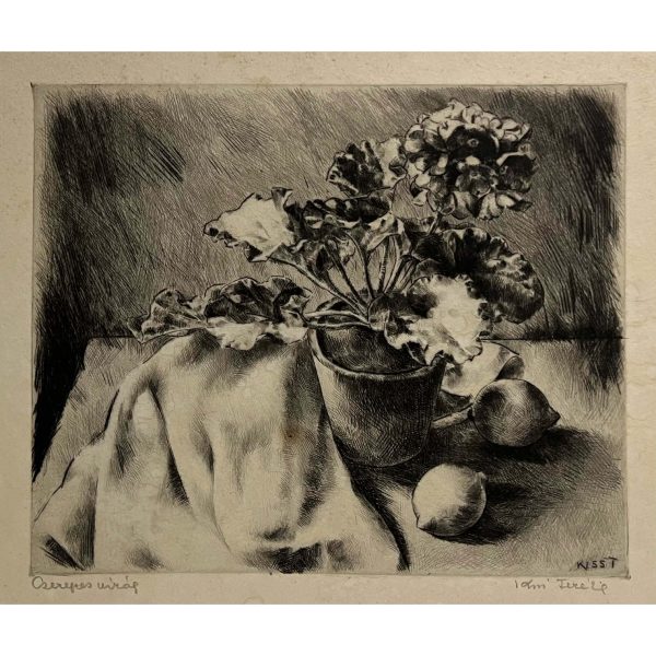 Kiss Terézia (1928- ) Cserepes virág