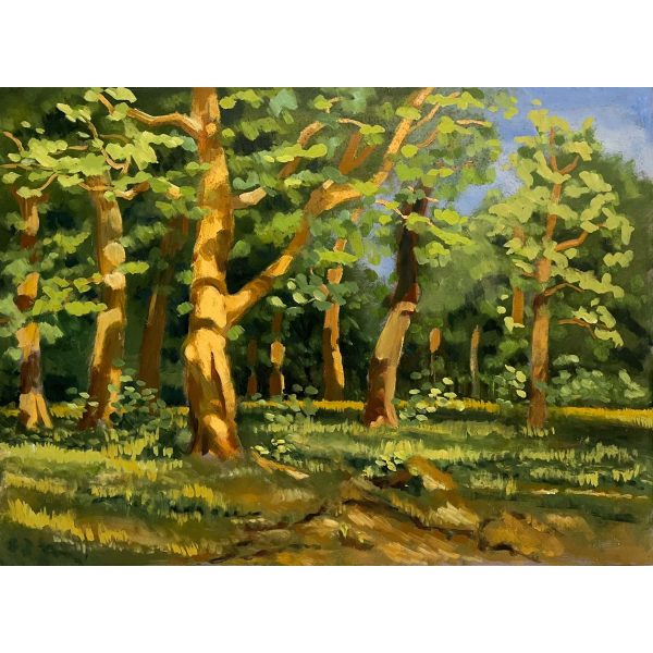 Erdő a nyári napsütésben (sorozat IV. rész) - Ismeretlen festő