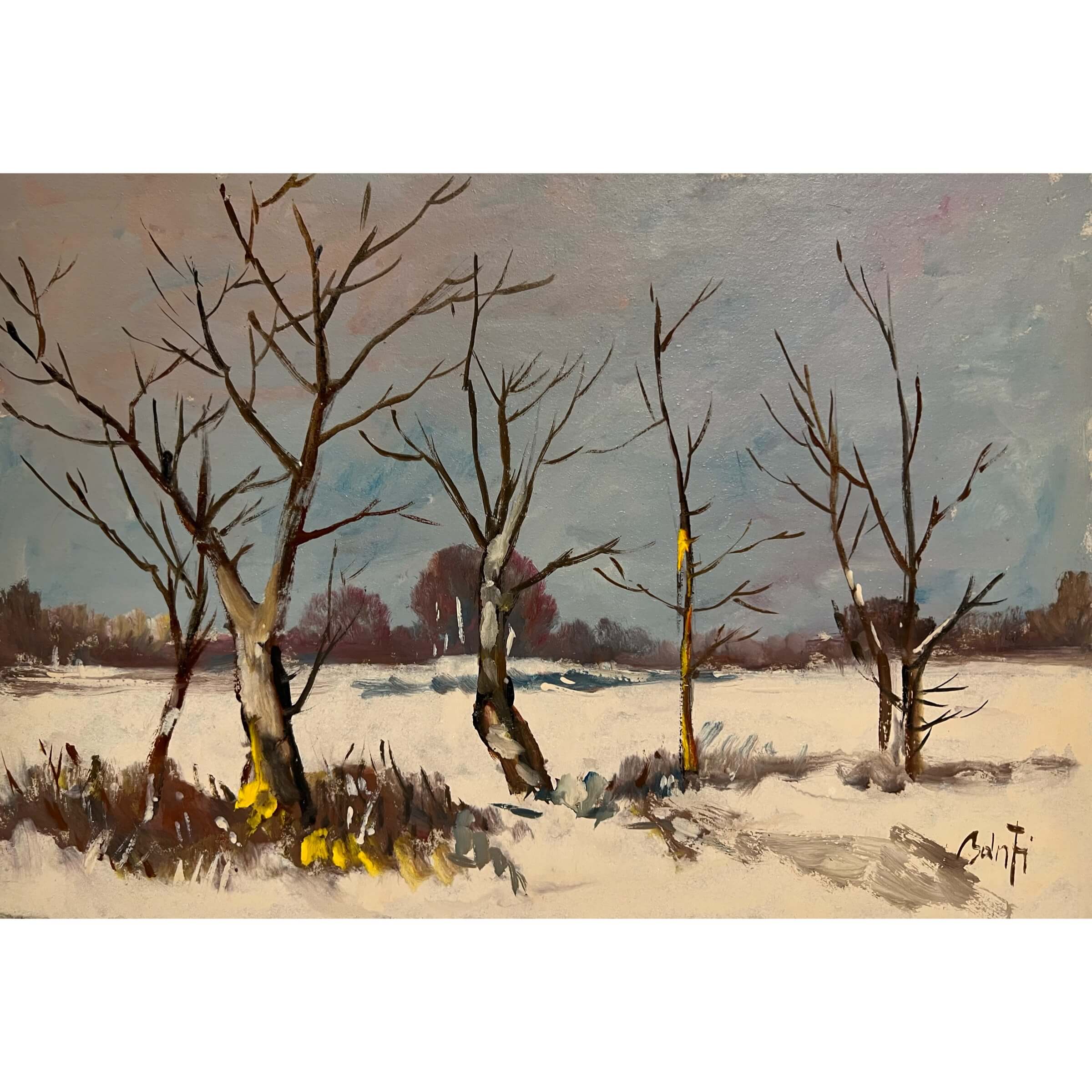 Bánfi József (1936- ) Behavazott Kis-Balaton I.