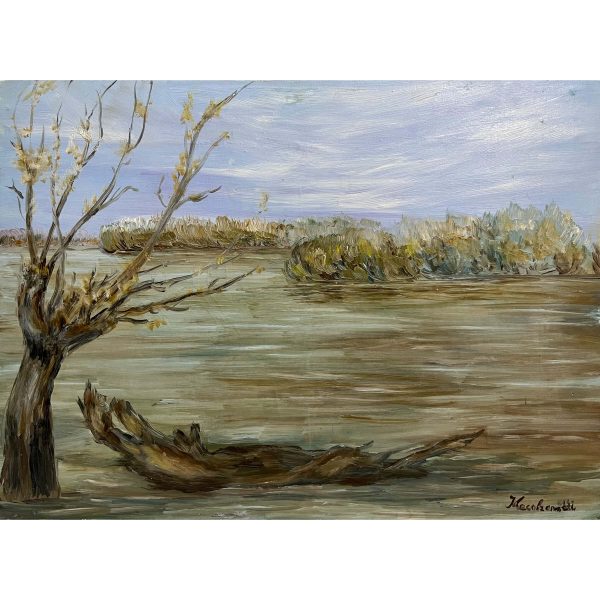 Kecskeméti jelzéssel - Árvíz