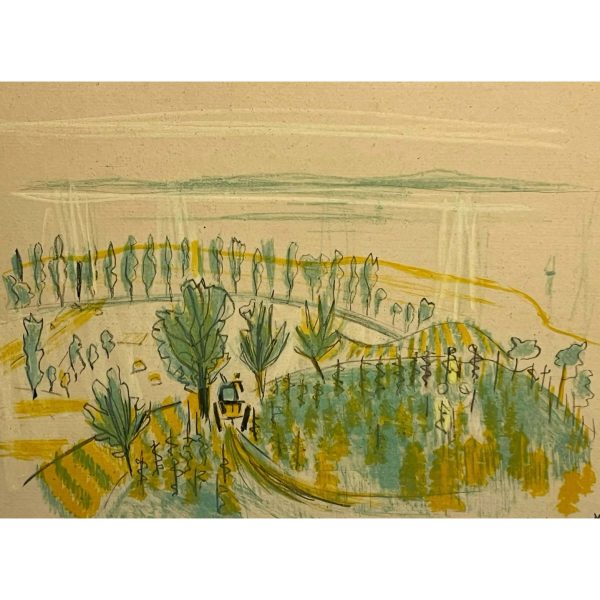 Vörös Rozália (1919-1992) Balatoni szőlő