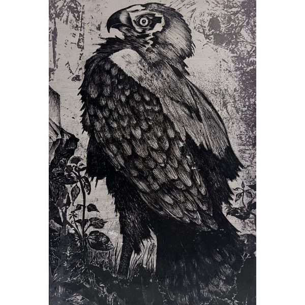 Sasfészek, 1973 - Beazonosításra váró magyar művész